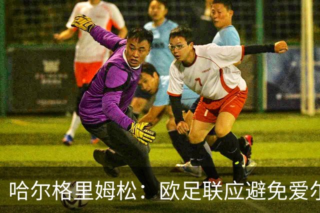 哈尔格里姆松：欧足联应避免爱尔兰再对阵以色列