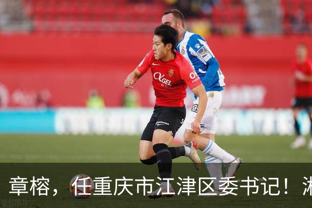 章榕，任重庆市江津区委书记！湘潭市自然资源和规划局副局长杨志明，拟履新！
